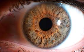 Iridologia